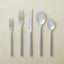 20-PIECE RUSH SHINY SILVER FLATWARE SET