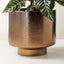 DIA BRONZE METALLIC PLANTER