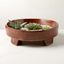 THIKA BURNT RED LOW PLANTER