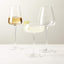 FLOAT WINE GLASSES