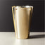 LIAM SHINY CHAMPAGNE GOLD STAINLESS STEEL TUMBLER 18 OZ