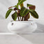 MYLA WHITE PLANTER BOWL WITH HANDLES