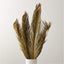 SAGO DRIED PALM LEAF BUNCH 27"-34"